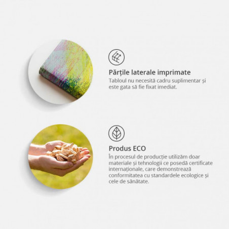 Tablou Hazel Energy-01