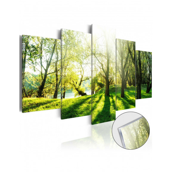 Imagine Pe Sticlă Acrilică Green Glade [Glass]