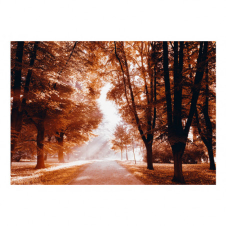 Fototapet Autumn Park-01