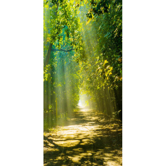 Fototapet pentru ușă sunny avenue
