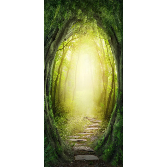 Fototapet pentru ușă the forest of fantasy