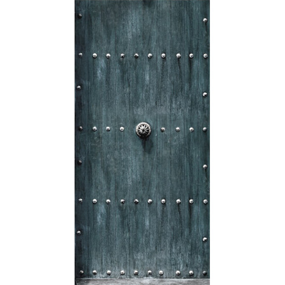 Fototapet pentru ușă stylish door
