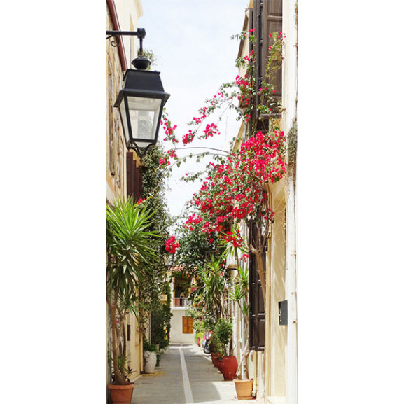 Fototapet pentru ușă charming avenue