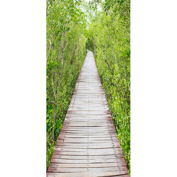 Fototapet pentru ușă the path of nature