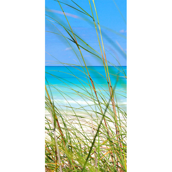 Fototapet pentru ușă summer wind