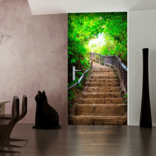 Fototapet Pentru Ușă Photo Wallpaper – Stairs From Nature I