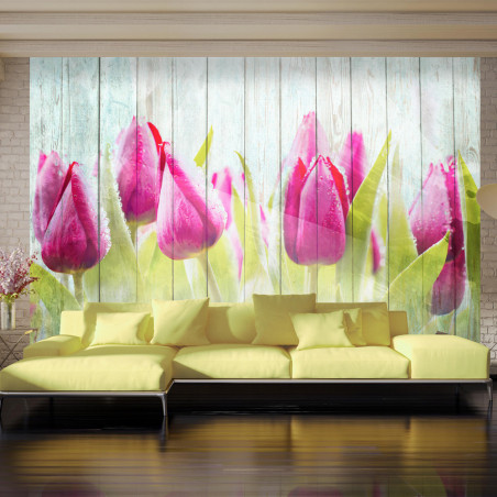 Fototapet Tulips On White Wood-01