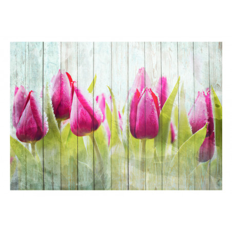 Fototapet Tulips On White Wood-01