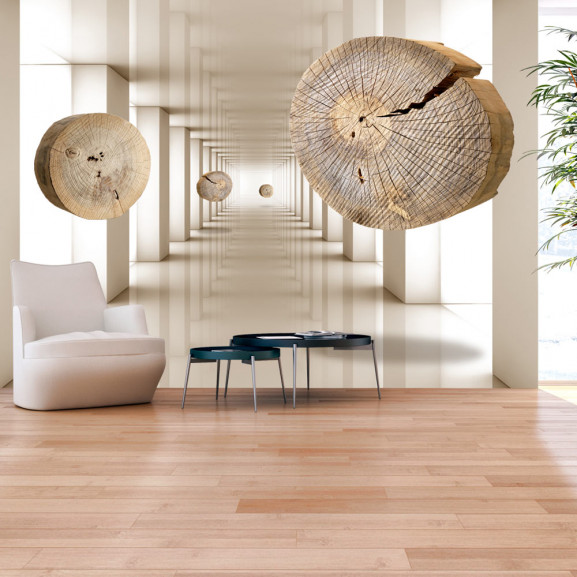 Fototapet Flying Discs Of Wood
