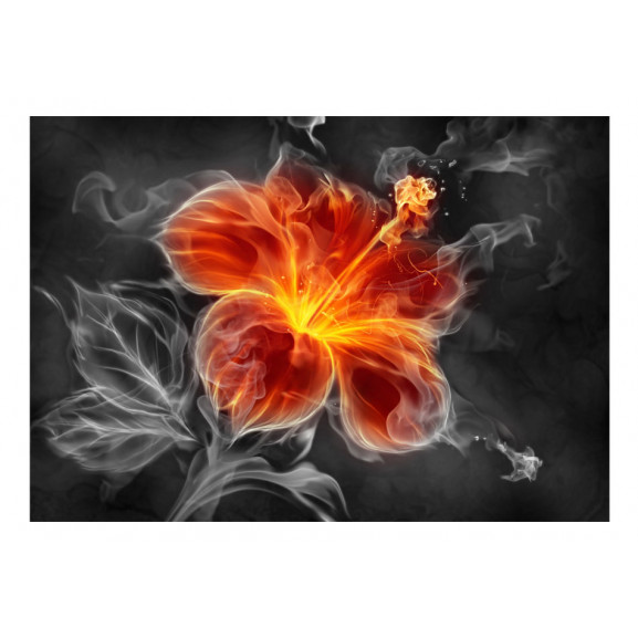 Fototapet fiery flower inside the smoke