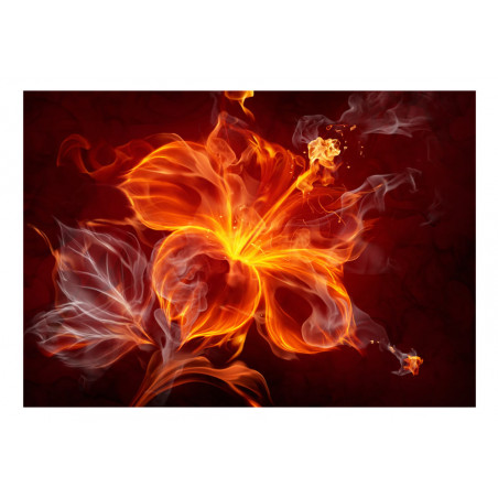 Fototapet Fiery Flower-01