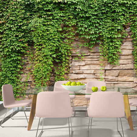 Fototapet Ivy Wall-01