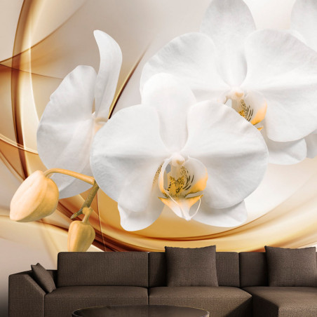 Fototapet Orchid Blossom-01