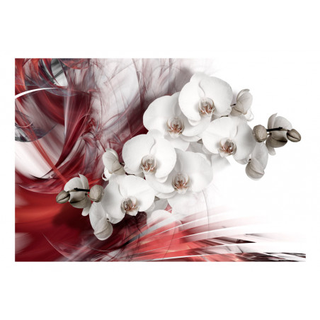 Fototapet Orchid In Red-01