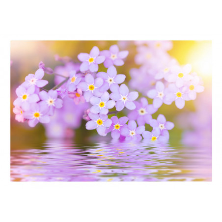 Fototapet Violet Petals In Bloom-01