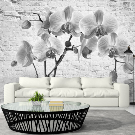 Fototapet Orchid In Shades Of Gray-01
