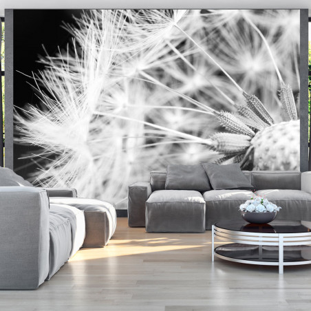 Fototapet Black And White Dandelion-01