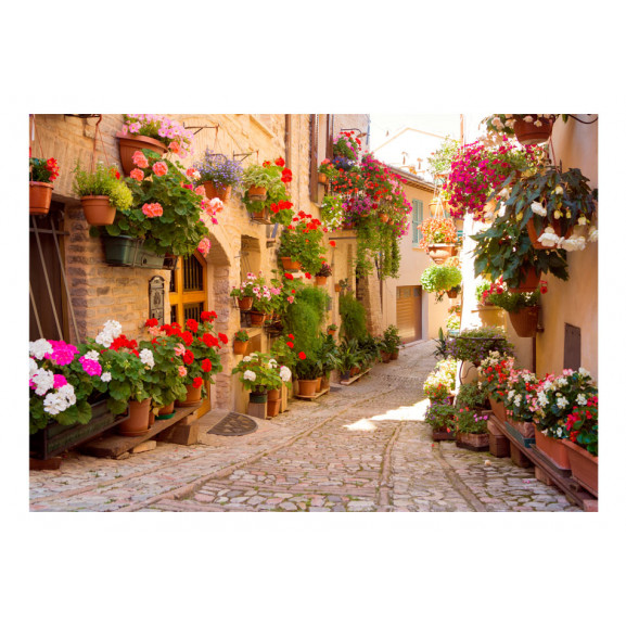 Fototapet The Alley In Spello (Italy)