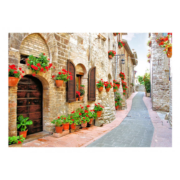 Fototapet italian province