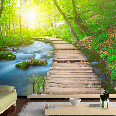 Fototapet Green Forest-01