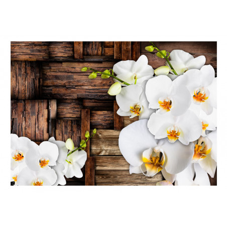 Fototapet Blooming Orchids-01