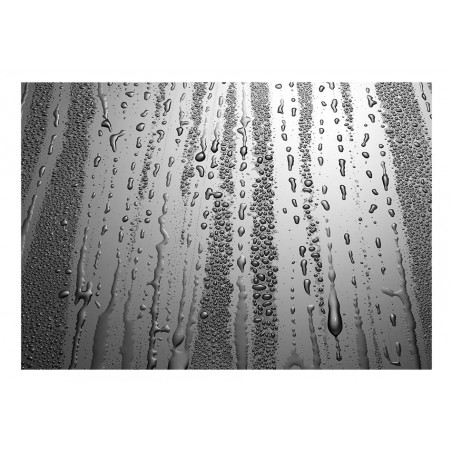 Fototapet Summer Drizzle-01