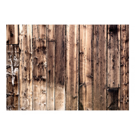 Fototapet Poetry Of Wood-01