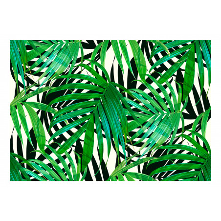 Fototapet Tropical Leaves-01