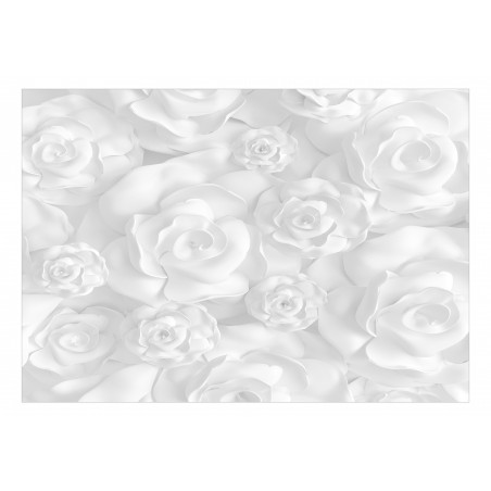 Fototapet Plaster Flowers-01