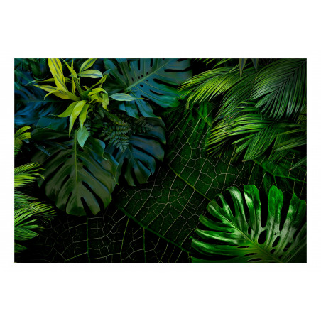 Fototapet Dark Jungle-01