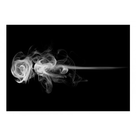 Fototapet Rose (Smoke)-01