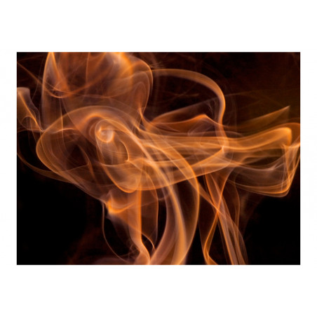 Fototapet Smoke Art-01