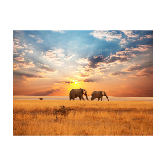 Poza Fototapet African Savanna Elephants