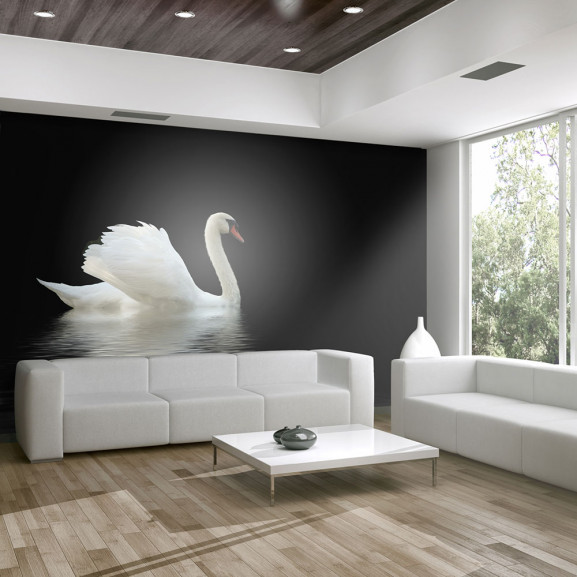 Fototapet Swan (Black And White)