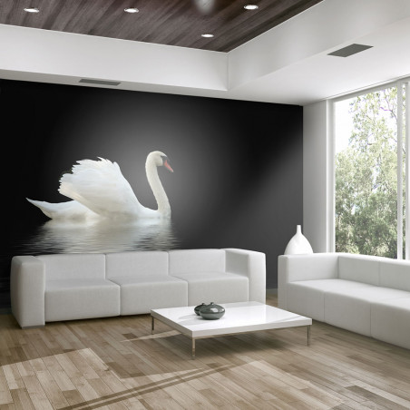 Fototapet Swan (Black And White)-01