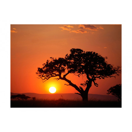 Fototapet Africa: Sunset-01