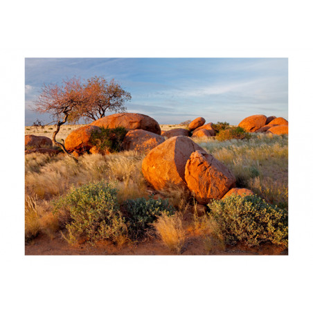 Fototapet African Landscape, Namibia-01