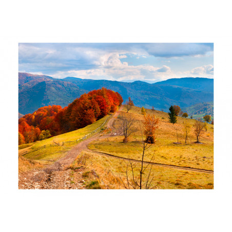 Fototapet Autumn Landscape In The Carpathian Mountains-01