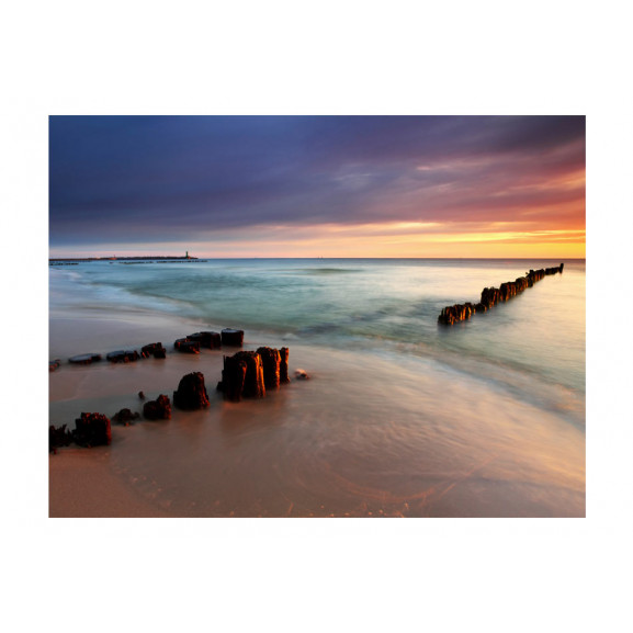 Fototapet beach sunrise