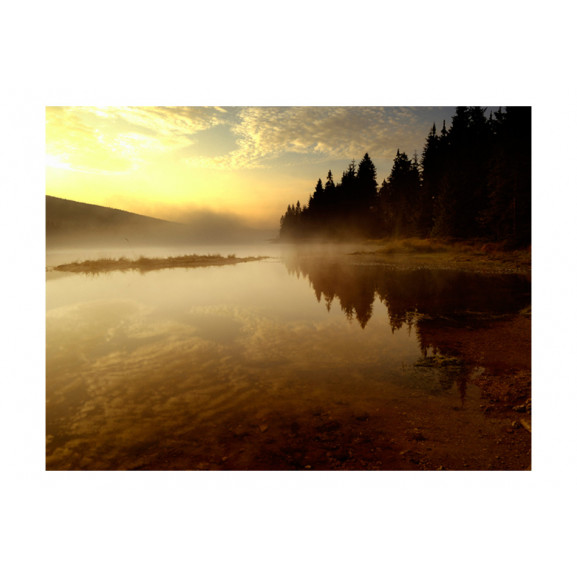 Fototapet forest and lake