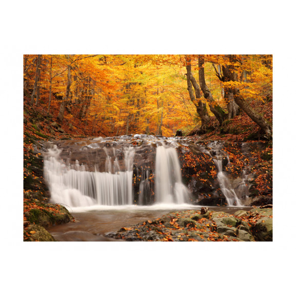 Fototapet autumn landscape : waterfall in forest