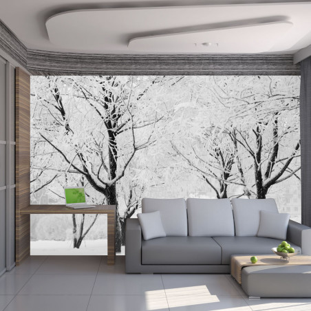 Fototapet Trees Winter Landscape-01