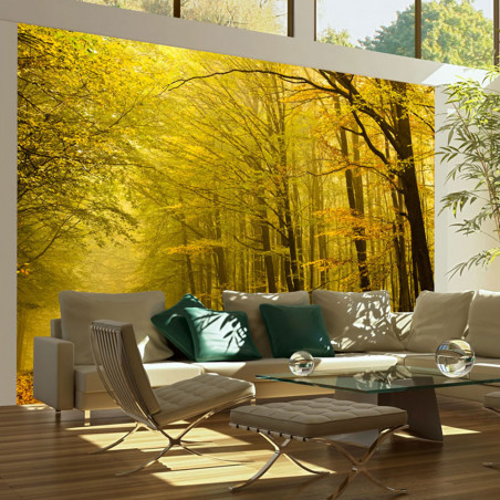 Fototapet Road In Autumn Forest-01