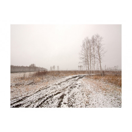 Fototapet Winter Field-01