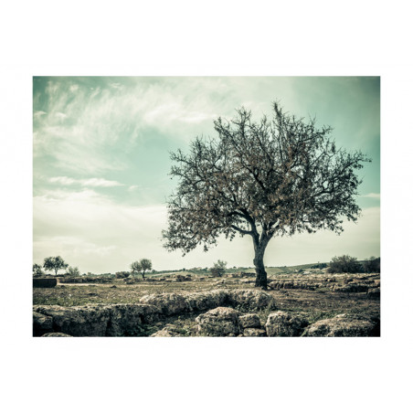 Fototapet Tree Vintage-01