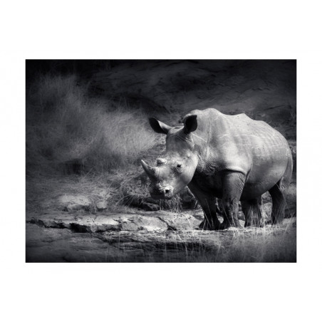 Fototapet Rhinoceros Lost In Reverie-01