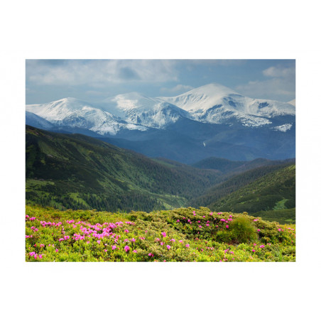 Fototapet Spring Mountain Landscape-01