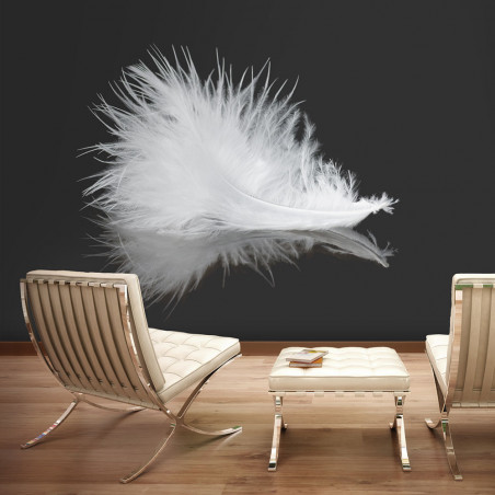 Fototapet White Feather-01