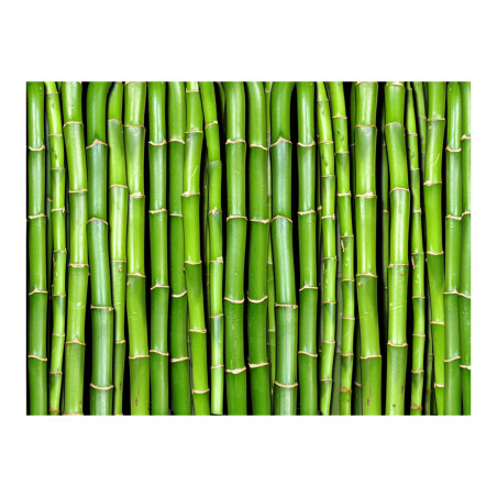 Fototapet Bamboo Wall-01