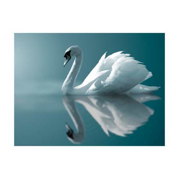 Poza Fototapet White Swan